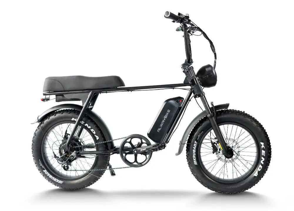 CEMOTO EBIKE EB66| Super 500 WATT 48v 13 ah FatBike (EU Warehousse)